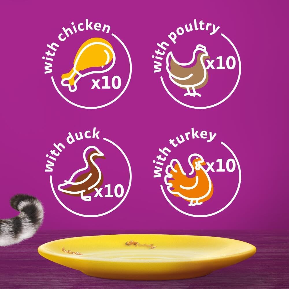 Whiskas 1+ Poultry Feast in Jelly Mega Pack – 40 x 85g Pouches