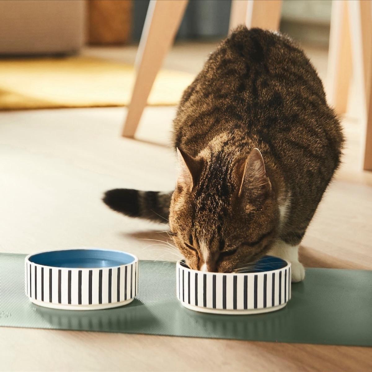 Set of 2 Stoneware Pet Bowls – Blue Stripe Design (11cm)