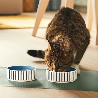 Set of 2 Stoneware Pet Bowls – Blue Stripe Design (11cm)