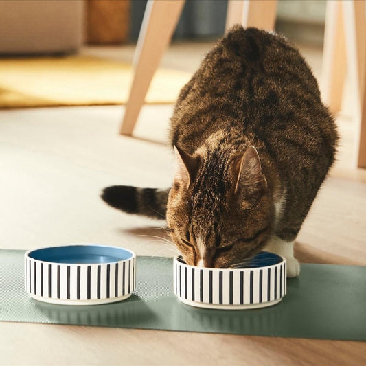 Set of 2 Stoneware Pet Bowls – Blue Stripe Design (11cm)
