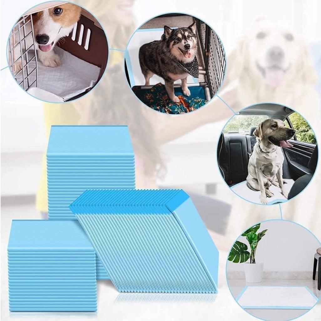Premium Puppy Training Pads – 60x60cm Leakproof & Ultra-Absorbent (Pack of 50)