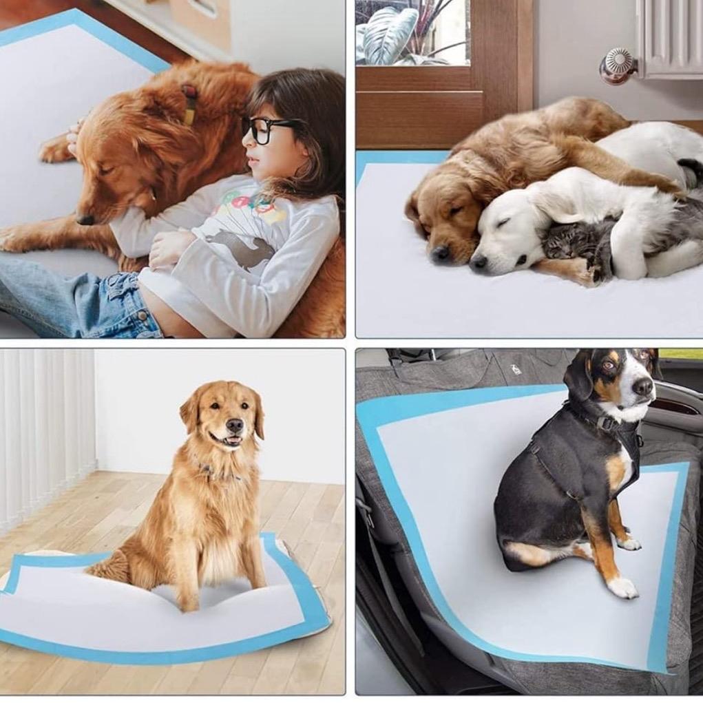 Premium Puppy Training Pads – 60x60cm Leakproof & Ultra-Absorbent (Pack of 50)